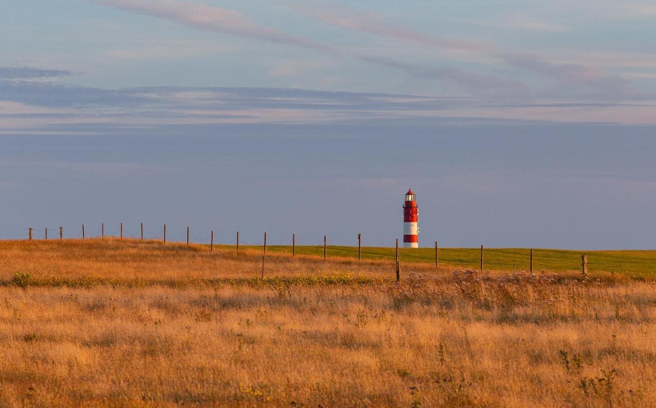 Kleine Perle Auf Amrum Нордорф Экстерьер фото