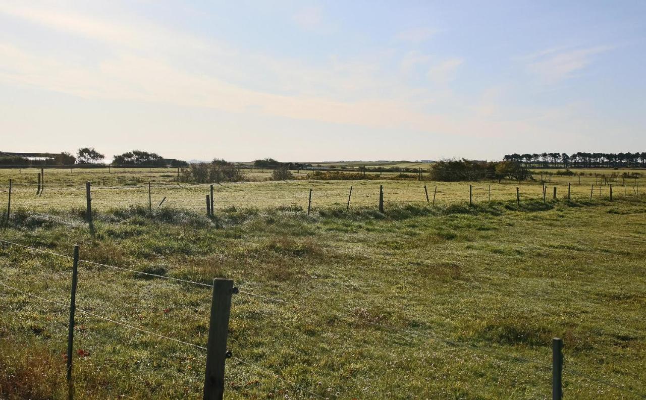 Kleine Perle Auf Amrum Нордорф Экстерьер фото